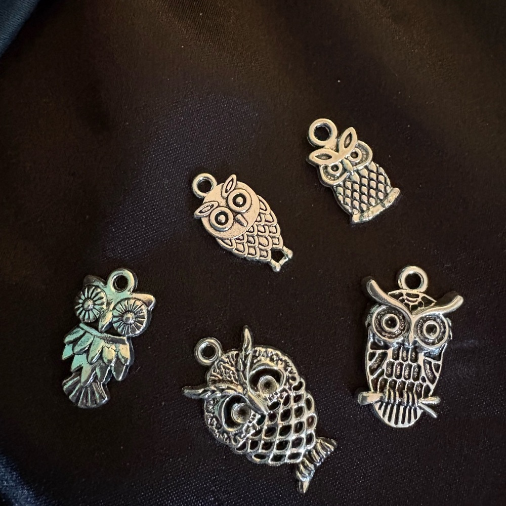 Silver Owl Charms Set